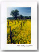 napa valley wine gifts